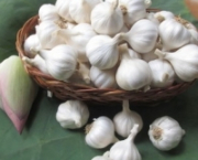 Tỏi Lý Sơn – Đặc sản nổi tiếng & Giải pháp đóng gói bằng túi lưới nhựa Chita Agri