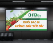 Công ty sản xuất dây đai nhựa uy tín tại Việt Nam – Chita Agri