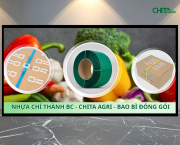 Công ty sản xuất dây đai nhựa Nhựa Chí Thành BC cung cấp những loại dây đai nào?