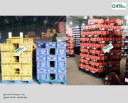 Vì sao dây đai nhựa giúp vựa trái cây, doanh nghiệp nông sản phân loại kiện hàng nhanh và chính xác hơn?