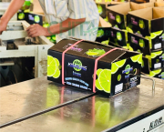 Mua dây đai nhựa PP đóng hàng ở đâu để đảm bảo chất lượng, tiến độ và đồng bộ đóng gói?