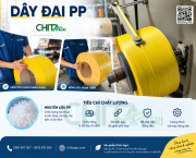 Khi Nào Nên Đổi Loại Dây Đai Nhựa? 6 Dấu Hiệu Quy Cách Không Còn Phù Hợp