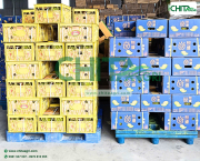 Đóng Đai Pallet Hàng Hóa: Những Điểm Cần Kiểm Tra Trước Khi Vận Chuyển