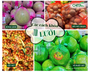 Các Loại Khóa Túi Lưới Phổ Biến Hiện Nay Và Cách Phân Biệt