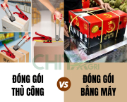 So sánh đóng đai thủ công và dùng máy đóng đai nhựa: Doanh nghiệp nên chọn cách nào?