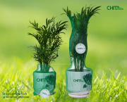 Vận chuyển cây cảnh dịp Tết: Vì sao nên dùng lưới bọc chậu cây?