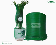 Lưới bọc chậu cây trong vận chuyển cây cảnh: Cách hạn chế dập lá và trầy chậu