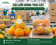 Túi Lưới Đóng Trái Cây Có Những Ưu Điểm Gì So Với Bao Bì Kín?