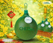 Đóng gói bưởi bán Tết: Túi lưới đựng bưởi hỗ trợ trưng bày và bán nhanh ra sao?