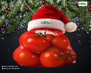 Túi lưới đựng cà chua đóng gói sẵn: Vì sao giúp quầy bán lẻ chốt đơn nhanh hơn?