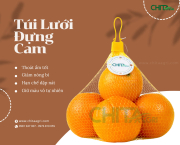 Túi Lưới Đựng Cam Giúp Sản Phẩm Nổi Bật Hơn Tại Điểm Bán Như Thế Nào?