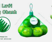 Túi lưới đựng chanh – Xu hướng bao bì giúp bảo quản chanh tươi lâu, nâng tầm trưng bày siêu thị và xuất khẩu