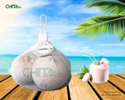Túi Lưới Đựng Dừa & Dây Đai PP Chita Agri – Bộ Đôi Bao Bì Đồng Bộ Cho Đóng Gói Dừa Xuất Khẩu