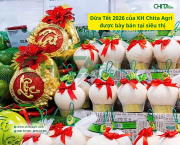 Túi lưới đựng dừa – xu hướng đóng gói nông sản thẩm mỹ cho thị trường Tết