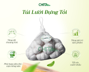 So Sánh Túi Lưới Cắt Sẵn & Lưới Cuộn L200 – Đâu Là Lựa Chọn Hiệu Quả Khi Đóng Gói Tỏi?