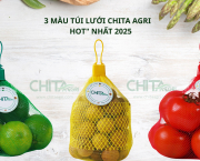 3 Màu Túi Lưới “HOT” Nhất Mùa Thu Hoạch 2025 – Thu Hút Khách Hàng Bằng Thị Giác