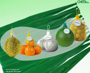 So sánh túi lưới đựng trái cây và các loại bao bì khác trong xuất khẩu: Đâu là lựa chọn an toàn hơn?