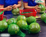 Chia Sẻ Từ Một Doanh Nghiệp Đóng Gói Bưởi Da Xanh – Nơi Đã Gắn Bó Gần 10 Năm Cùng Nhựa Chí Thành BC