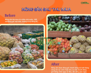 Từ thu mua đến đầu ra ổn định: Túi lưới đựng nông sản giúp Hợp tác xã mở rộng thị trường