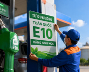 Xăng Sinh Học E10 Và Cơ Hội Mới Cho Nông Sản Việt Trong Xu Hướng Kinh Tế Xanh