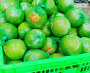 Túi lưới nhựa đựng bưởi giá sỉ – Giải pháp cho nhà vườn & thương lái
