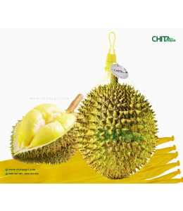 TÚI LƯỚI ĐỰNG SẦU RIÊNG