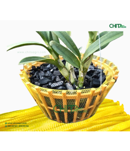 TÚI LƯỚI TRỒNG LAN