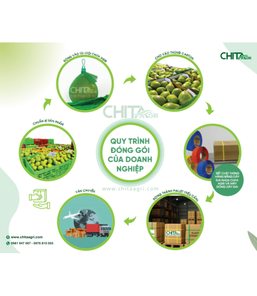 COMBO TÚI LƯỚI - DÂY ĐAI - MÁY ĐÓNG ĐAI