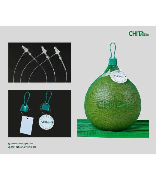 DÂY TREO TAG/ NHÃN MÁC