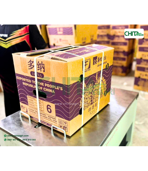 MÁY ĐÓNG ĐAI NHỰA CHALI JN740