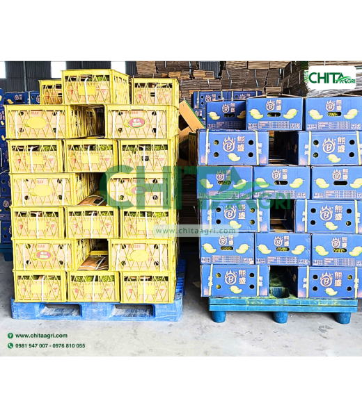 MÁY ĐÓNG ĐAI NHỰA CHALI JN740