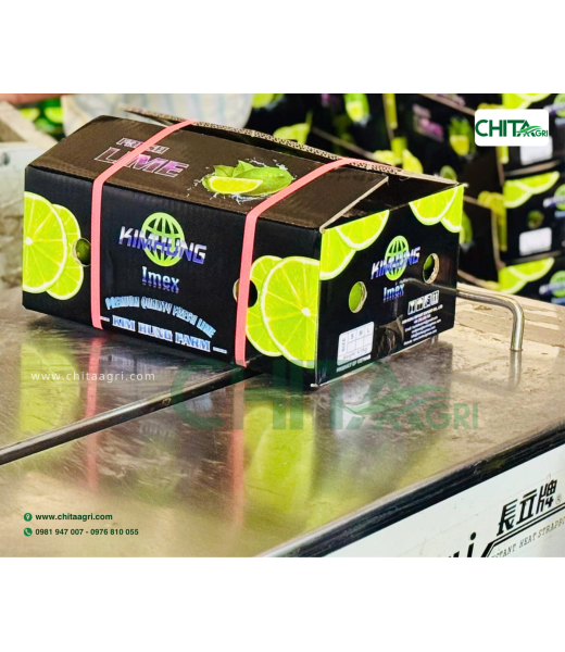 MÁY ĐÓNG ĐAI NHỰA CHALI JN740