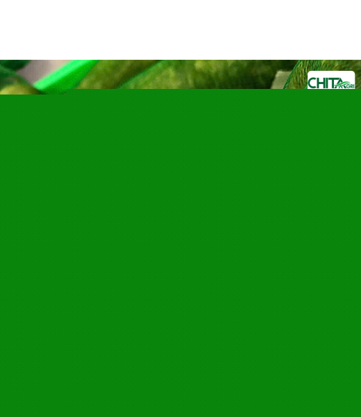 TAG TÚI LƯỚI TRẮNG TRƠN