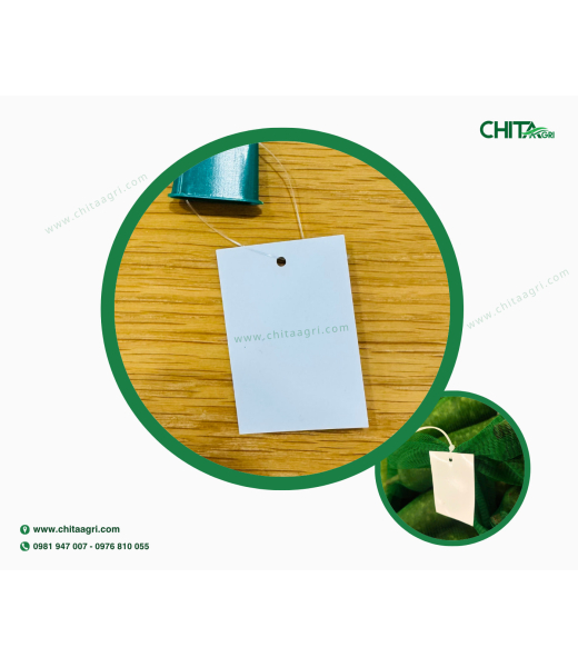 TAG TÚI LƯỚI TRẮNG TRƠN