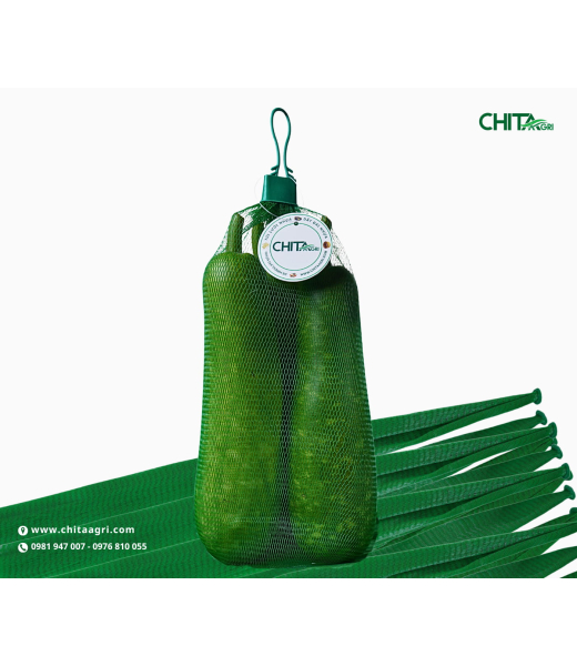 TÚI LƯỚI ĐỰNG BẦU