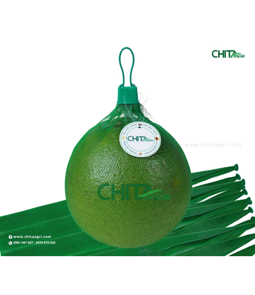 TÚI LƯỚI ĐỰNG BƯỞI