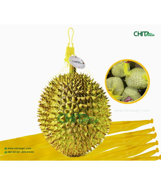 TÚI LƯỚI ĐỰNG SẦU RIÊNG