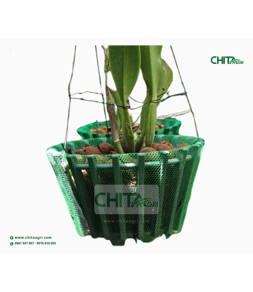 TÚI LƯỚI TRỒNG LAN