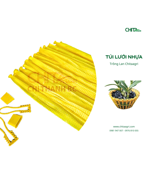 TÚI LƯỚI TRỒNG LAN