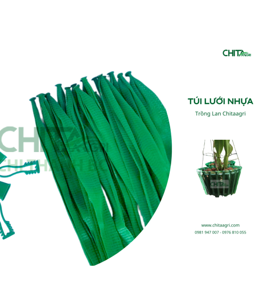 TÚI LƯỚI TRỒNG LAN