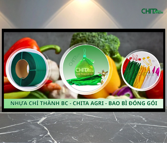 CÔNG TY TNHH SẢN XUẤT THƯƠNG MẠI NHỰA CHÍ THÀNH BC 