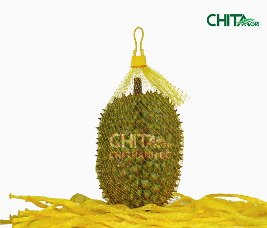 CÔNG TY TNHH SẢN XUẤT THƯƠNG MẠI NHỰA CHÍ THÀNH BC 