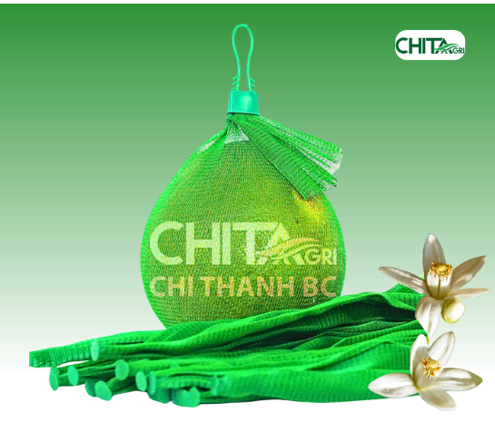 CÔNG TY TNHH SẢN XUẤT THƯƠNG MẠI NHỰA CHÍ THÀNH BC 