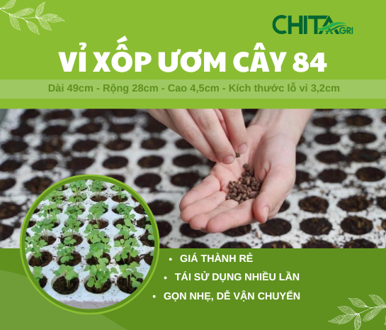 CÔNG TY TNHH SẢN XUẤT THƯƠNG MẠI NHỰA CHÍ THÀNH BC 