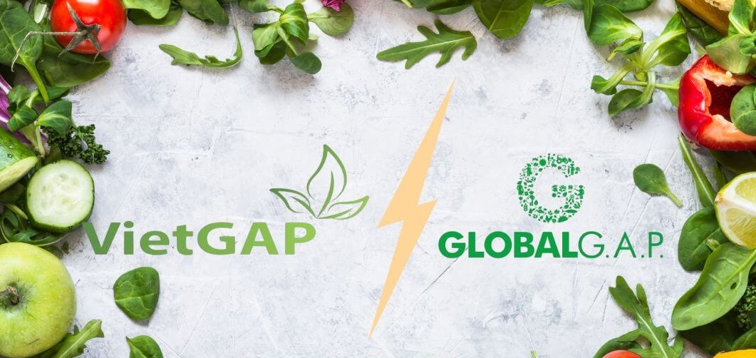 Combo Túi – Khóa – Tag – Dây treo Chita Agri: Hỗ Trợ Doanh Nghiệp Nông Sản Đáp Ứng Tiêu Chuẩn VietGAP – GlobalGAP Một Cách Đồng Bộ