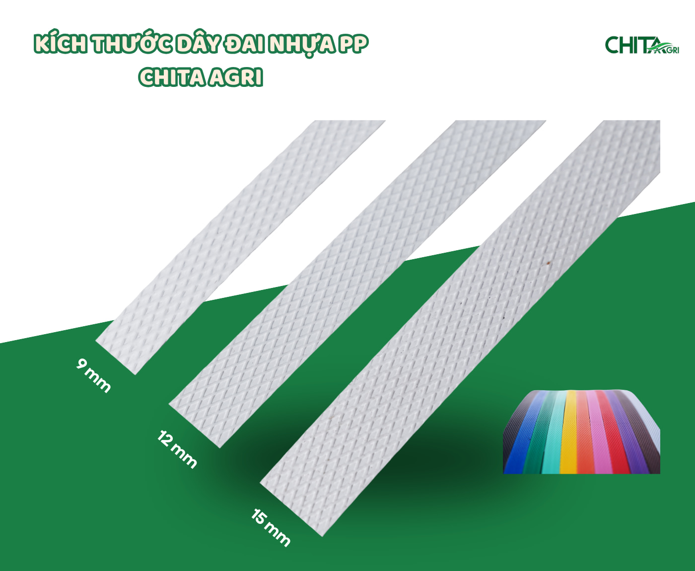 Dây đai nhựa PP Chita Agri chất lượng cao – màu sắc đẹp – kích thước chuẩn – cuộn dây ổn định