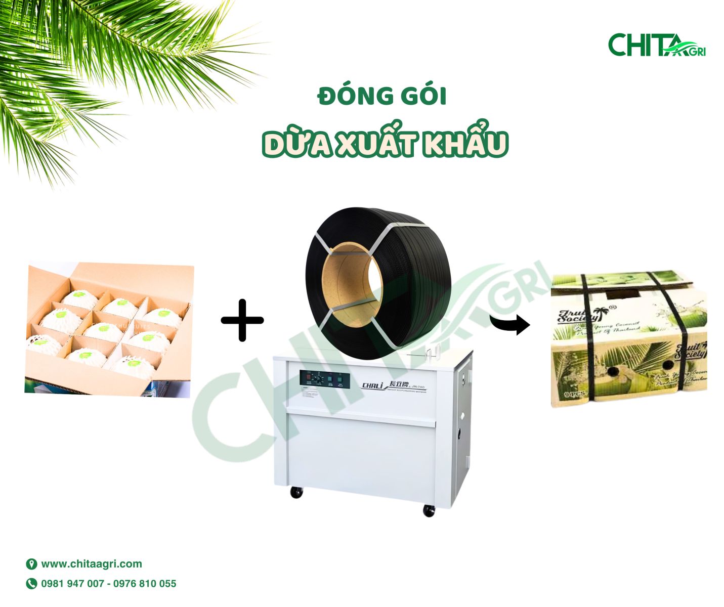 Dây đai nhựa PP Chita Agri – sản phẩm chuyên biệt cho ngành nông sản – trở thành lựa chọn tối ưu giúp kiện hàng chắc chắn, an toàn từ kho đến cảng.
