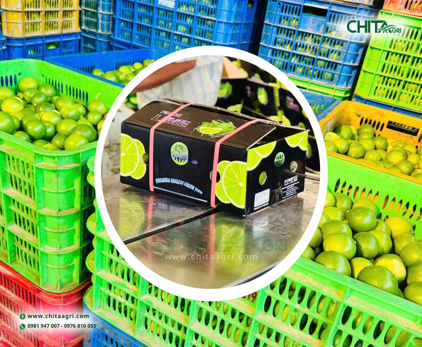 Dây đai nhựa Chita Agri được sản xuất từ nhựa PP chất lượng cao, có độ dẻo dai tốt, giữ lực siết chắc, hạn chế đứt gãy khi đóng gói hàng hóa.