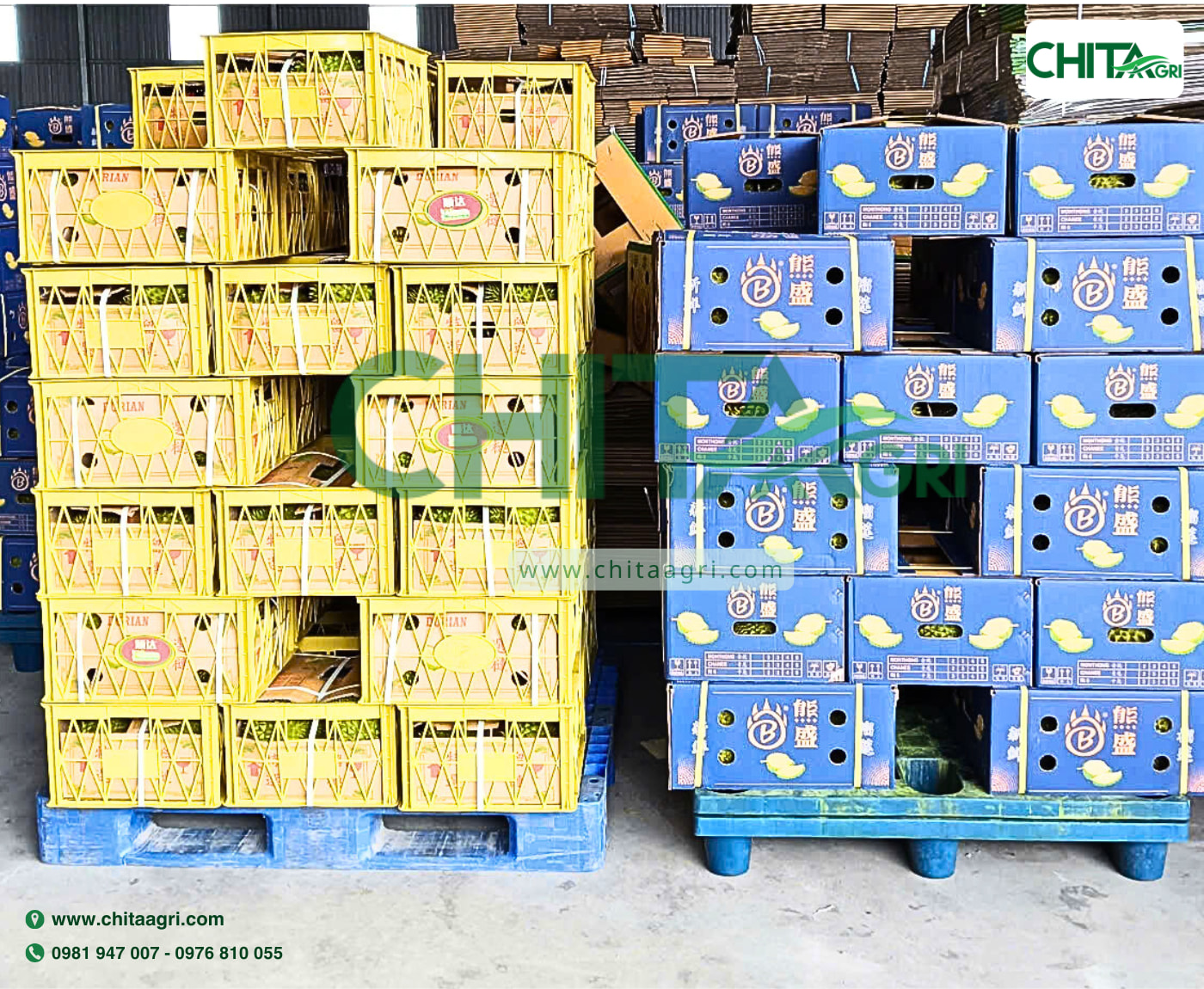 một pallet được đóng đai đúng cách có thể giúp hạn chế tình trạng xê dịch, nghiêng đổ hoặc bung kiện trong quá trình vận chuyển.