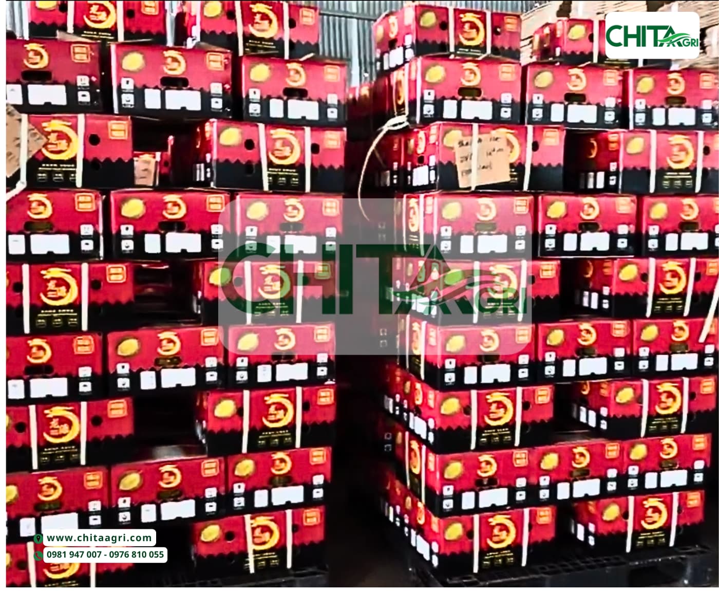 Dùng máy đóng dây đai nhựa giúp tăng năng suất đóng gói nhanh, hiệu quả, giảm thất thoát